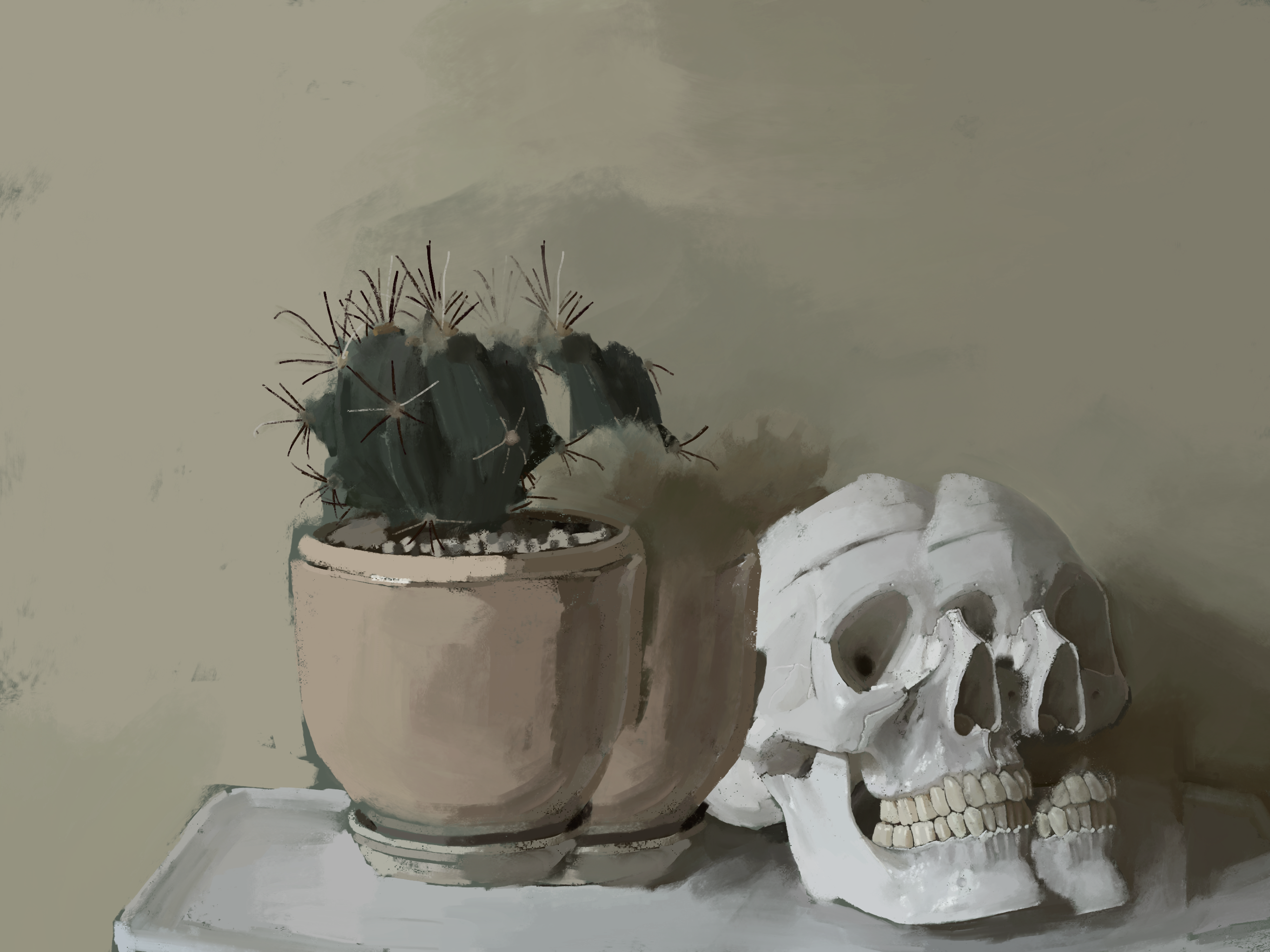 Still life of a skull and cactus on top of my toilet cause the lighting was good.