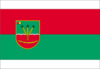 Flag of Holovanivsk Raion