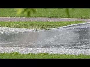 A video a minute in length showing rain falling on leaves, streets and into puddles