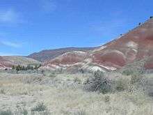 Bands of laterite give these Painted Hills in the John Day Fossil Beds National Monument near Mitchell, Oregon their colorful appearance.  Video by Mary Harrsch