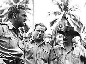 Informal half portrait of three men in military uniforms, with palm trees in the background