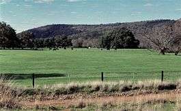 Wongong Farm with the darling range and Wongong Gorge in background. (1994)