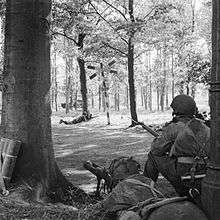 Two men in the foreground, between two trees a small in a wood. In the distance across a road another man in lying down armed with a Bren gun