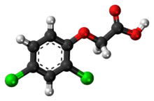 Ball-and-stick model of 2,4-dichlorophenoxyacetic acid