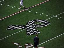 American football field with a houndstooth awareness ribbon painted on it.