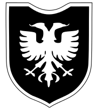 a white two-headed eagle on a black background