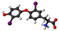 Ball-and-stick model of the 3,3'-diiodothyronine molecule as a zwitterion