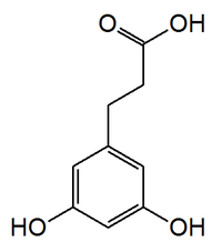 Chemical structure of 3,5-dihydroxyphenylpropionoic acid