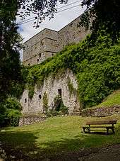 exterior shot of forbidding, ivy-covered citadel wall