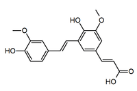Chemical structure of decarboxylated 8,5'-diferulic acid.