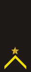 Gold star above a gold chevron.
