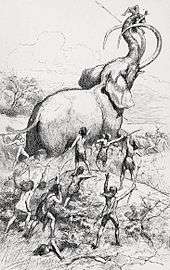 Drawing of humans hunting an elephant-like mammoth, who is lifting a human with its trunk