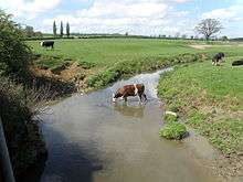 The Eye brook is a shallow stream here, some 4 metres wide.  The picture shows it passing through pasture dotted with cows, one of which is standing in the water drinking.