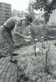 Adam Purple tending his Urban Garden in 1984