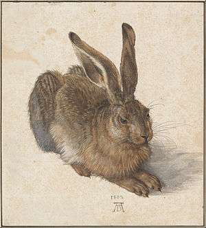 A painting of a hare with large ears.