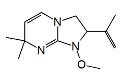 Chemical structure of alchorneine