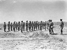 Soldiers on parade in the desert