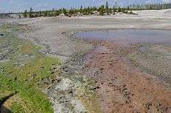 Green and red algae ground along the banks.