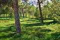 Alsos Akadimias green national parks Nicosia Republic of Cyprus.jpg
