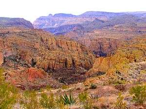 Tonto National Forest canyons from above.