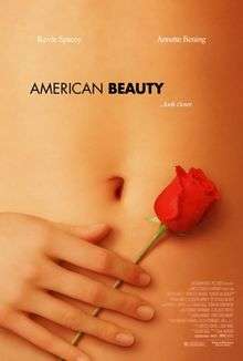 Poster image of a woman's abdomen with her hand holding a rose against it.