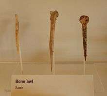 A color picture of three long bone tools