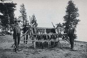 Old photo of anglers with a lot of fish from Yellowstone Lake
