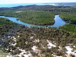 Aerial photo of a coastal forest portion