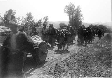 Armenian deportations in Erzurum by Victor Pietschmann 03.jpg