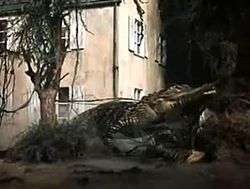 An alligator of over-sized and monstrous proportions slithers past a house located in a wet, tropical swamp.