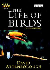 The Life of Birds DVD cover