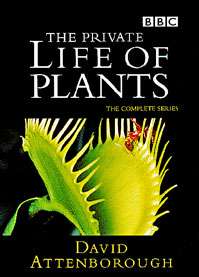 The Private Life of Plants DVD cover