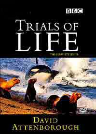 The Trials of Life DVD cover