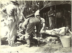 Black and white image of wounded men lying on canvas stretchers, while other soldiers attend to them