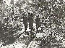 Soldiers patrol along a jungle track