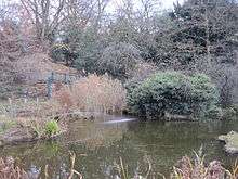 Ornamental pond in Avenue House Grounds
