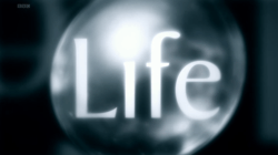 Life title card (BBC version)