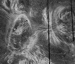 Coronae as seen in the Fortuna region of Venus