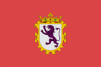 Flag of the city of León