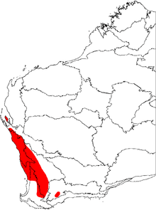 A map of the biogeographic regions of Western Australia, showing the range of Banksia prionotes. The map shows a continuous distribution from the northern tip of the Geraldton Sandplains, south along the west coast to around Perth, and continuing south further inland to the southern limit of the Jarrah Forests region. There are also discontinuous occurrence shown at Shark Bay in the north, and in the southeast around Jerramungup.