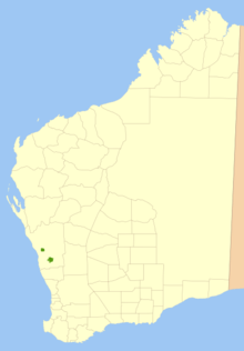 Map of Western Australia with two small green patches midway along the west coast