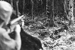 A soldier holding a sub machine gun, peers down its sights into the thick jungle