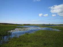 A marshy landscape of reeds, grass, water lilies and open water under blue skies with some white, fluffy clouds at left. A stone house sits on the horizon in the distance.