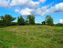 Picture of a grass covered bank which is a long barrow known as Bevis's Thumb near Compton, West Sussex