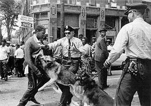 A black-and-white photograph of a black male teenager being held by his sweater by a Birmingham policeman and being charged by the officer's leashed German Shepherd while another police officer with a dog and a crowd of black bystanders in the background look on