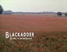 A tranquil field of red poppies, and the text "Blackadder" with a copyright notice
