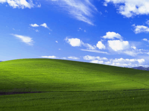 Bliss as seen in a clean Windows XP desktop