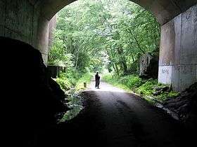Tunnel opening onto trees and dog-walker