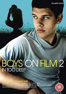 Boys On Film 2 DVD Cover.