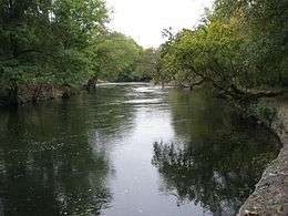 Photo of wide tree-lined Brandywine Creek